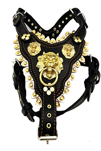 Tasma Market Sarı-siyah Aslanlı Halkalı Deri Köpek Göğüs Tasması