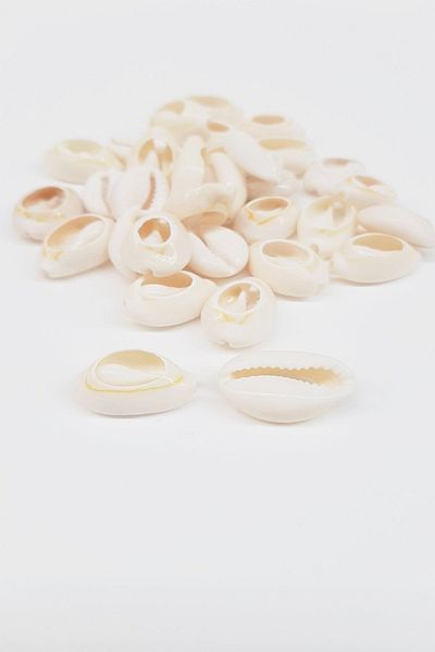 Hobigram Cream Seashell – Ειδικό σχέδιο, Αξεσουάρ, Ποιοτική Παραγωγή, Στυλ που τραβάει τα βλέμματα