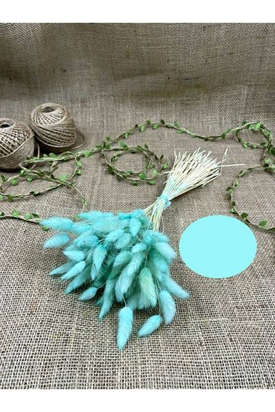 Hobigram Water Green Color Cotton Grass – Ειδικό Σχέδιο, Αξεσουάρ, Ποιοτική Παραγωγή, Εντυπωσιακό Στυλ – Τεχνητό Λουλούδι De