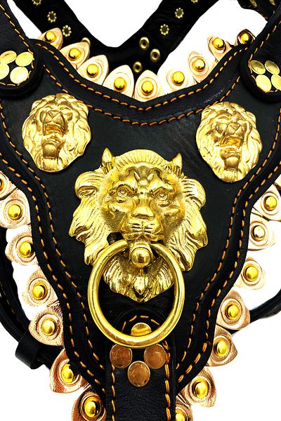 Tasma Market Lion Patterned Yellow-Black Leather Dog Collar