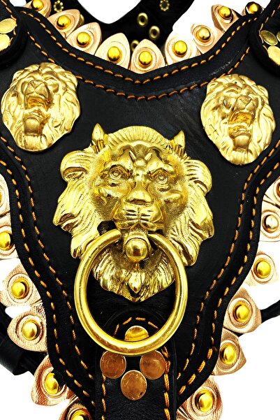 Tasma Market Sarı-siyah Aslanlı Halkalı Deri Köpek Göğüs Tasması