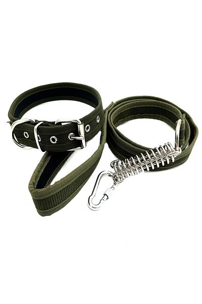 Tasma Market Khaki Dog Collar and Dog Walking Set