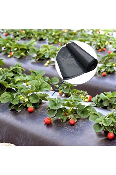 Bizim Yok Yok Uv Katkılı (DELİKLİ) 25 Metre Çilek Naylonu-malç Naylonu Eni:130cm 100 Micron