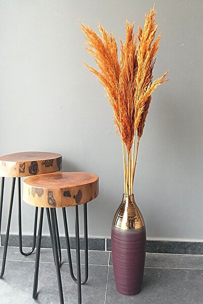 Alyones Büyük Demet Pampas Turuncu 100cm Boyunda 8'li