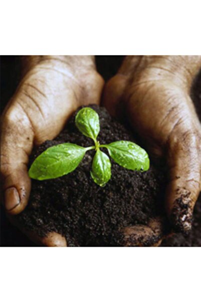 E-fidancim Sebze Ve Çiçek Fidesi Dikim Gübresi (50 Fide Için)