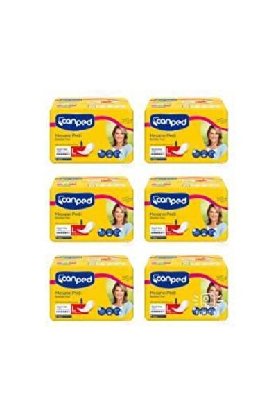 Canped Mesane Pedi Büyük Large 10 Lu 6 Paket 60 Adet