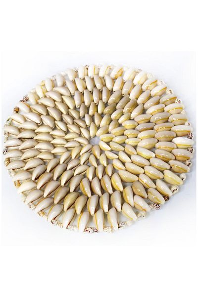 evinizdeki okyanus esintisi turkuaz hediyelik Real Seashell Coaster 9-10 cm Diameter