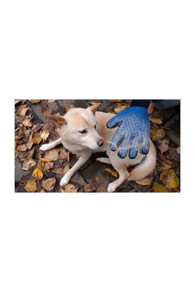 Neptüns Rukavice za skupljanje pseće dlake Pet mačka