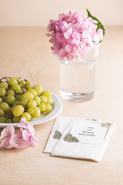 NapkinStore Family Mottolu Napkin 24 Pack