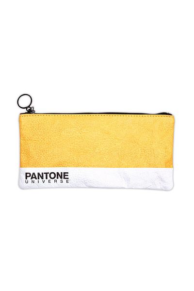 Pantone C2 Washable Pencil Case Pen Holder
