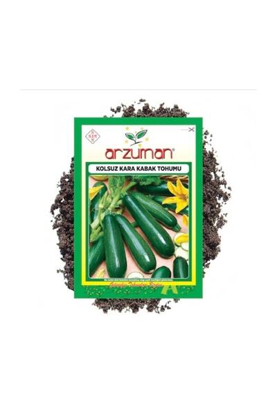 Arzuman Tohum Arzuman Kolsuz Kara Kabak Tohumu