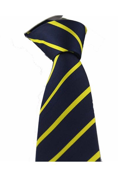 Brianze Yellow Navy Blue Striped Tie Fb-1