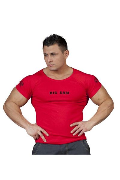 Big Sam Slim Fit T-Shirt 2571