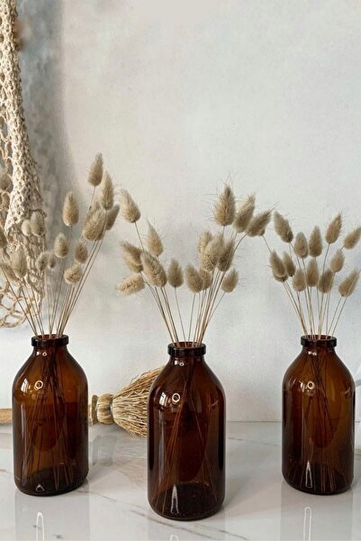 Pause Art Home 3 Adet 250 Ml Amber Kahverengi Mini Cam Vazo Şişe