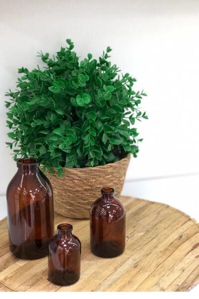 Pause Art Home Amber Kahverengi Cam Vazo 50ml 100ml 250ml Üçlü Set