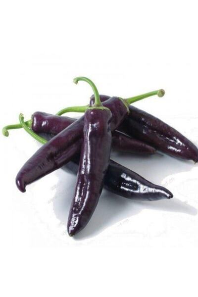 Köy Tohumları 100 Adet Tohum Nadir Acı Mor Süs Biberi Tohumu Mor Süs Biber To...
