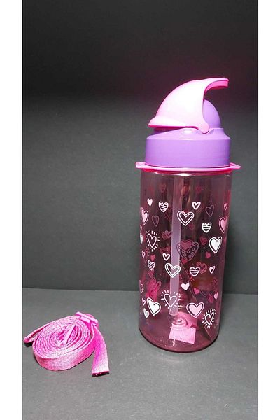 Gıpta 500 Cc Tritan Flask