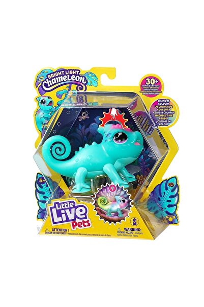 Giochi Presiozi Işıklı Bukelamun