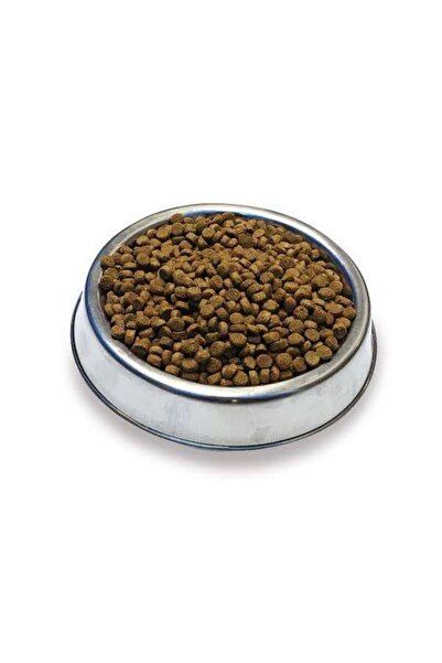 obivan Somonlu Ve Hamsili Kısırlaştırılmış Kedi Maması 10kg