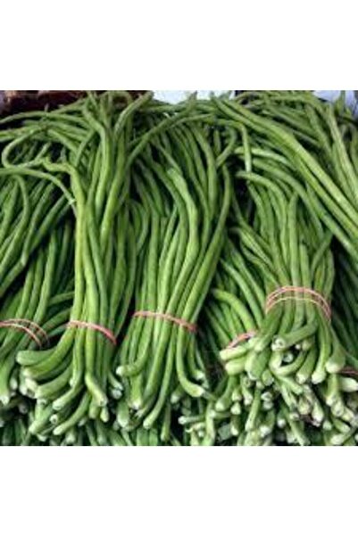 Köy Tohumları 50 Adet Tohum Organik Uzun Organik Yeşil Çin Fasulyesi Çin Fasü...