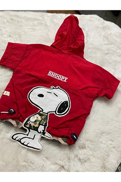 Jikko Baby Erkek Bebek İkili Takim