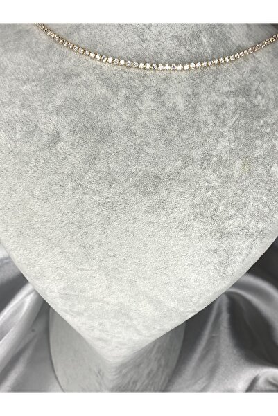 PashDesign Gold Zirkon Taş Su Yolu Choker Kolye 2 Mm