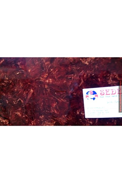 Sedef Ahşap Direksiyon Kaplama Uyumlu