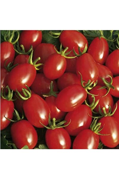 Köy Tohumları 75 Adet Tohum Organik Köy Cherry Çeri Domates Tohumu Saksılık S...