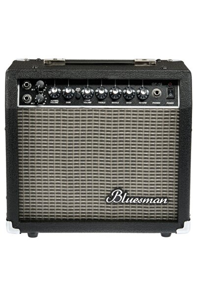 Bluesman GF-15 Elektro Gitar Amfisi - Çift Girişli + Reverb