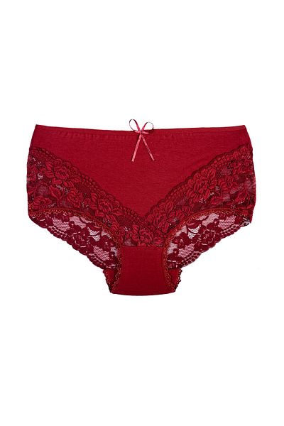 Zena Burgundy High Waist Lace Cotton Plus Size Women's Panties
