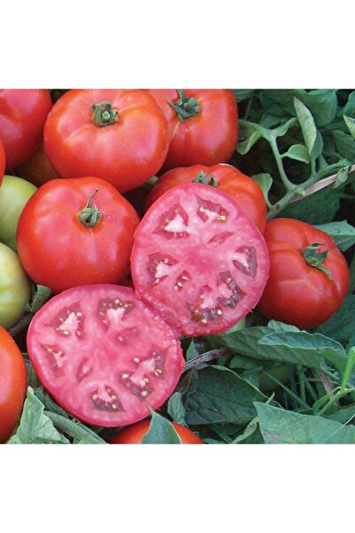 Köy Tohumları 30 Adet Tohum Ayaş Domates Köy Tohumu Ayaş Domatesi Tohumu Saks...