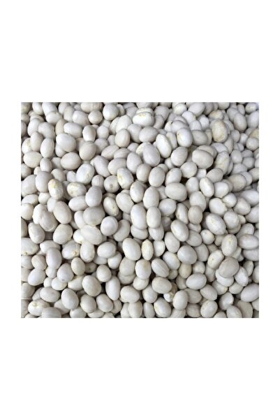 Genel Markalar Erzincan Şeker Fasulye (1 Kg)
