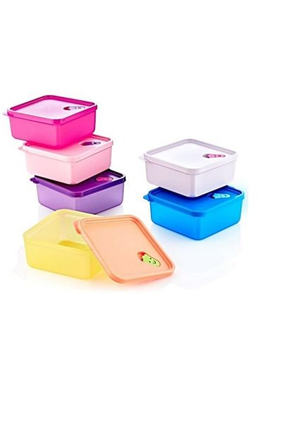 Lorin 6 Pieces Storage Container Bowl with Lid Microwaveable