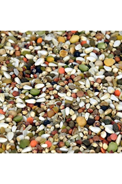 ÜNALLARTARIM 1 Kg Zengin Karışım Buğdaysız Karışık Tavuk Yemi Güvercin Yemi S...