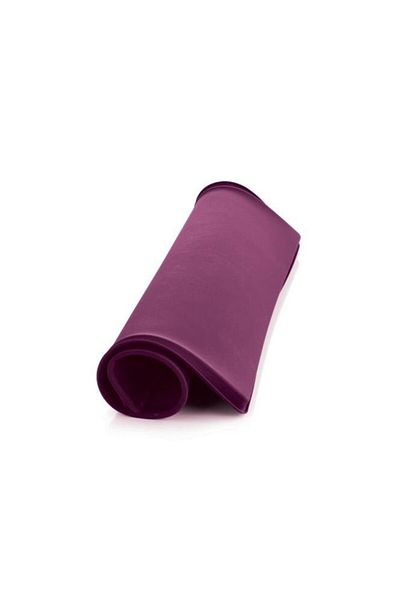 Tupperware Silicone Baking Tray