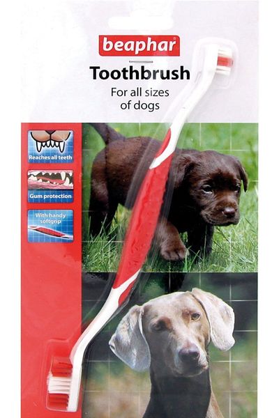 Beaphar Toothbrush