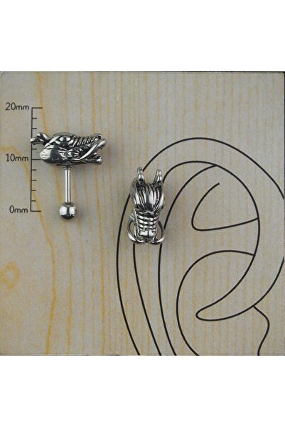 TAKIDAN Ejderha Cerrahi Çelik Kıkırdak Tragus Piercing 6 Mm
