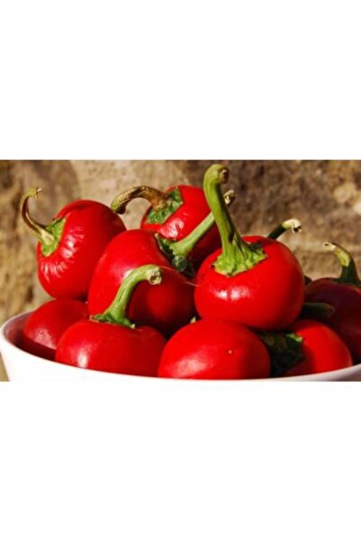 Tohumcumm Cherry Tatlı Kiraz Biber Tohumu Biber Tohumu 50 Adet Tohum