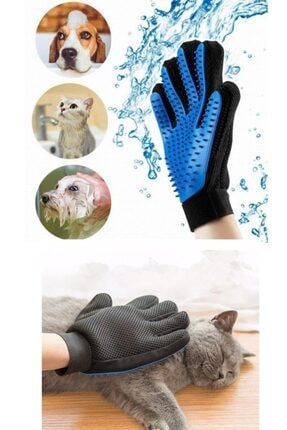 Wmoloxs Kedi Kopek Tuy Toplama Kasima Yikama Ve Banyo Eldiveni Evcil Hayvan Pet Glove Tarama Fircasi Fiyati Yorumlari Trendyol
