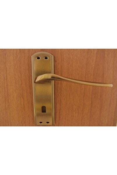 Azm Hırdavat Venüs Antik Aynalı Kapı Kolu Wc  Sol