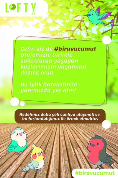 Lofty 6x Favori Seti Esansiyel Uçucu Yağ, Buhurdanlık Yağı, Difüzör Esansı, Oda Kokusu 10ml