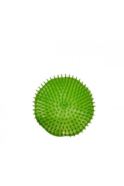 Lionesse 872430 Artichoke Hair Washing Comb Green