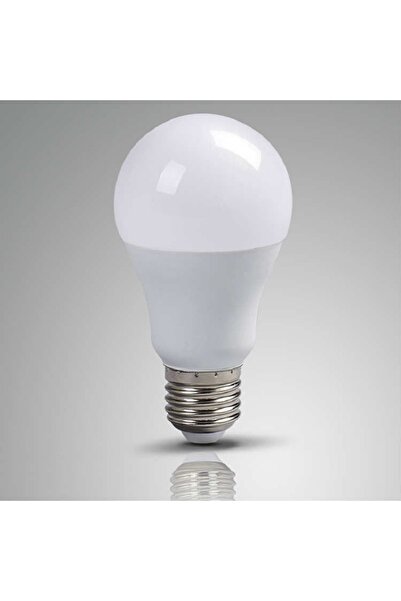 ATAELEKTRONİK 12 Volt Akü Ile Çalışan Ampül Işık 12v 12 Volt Beyaz Işık Led L...