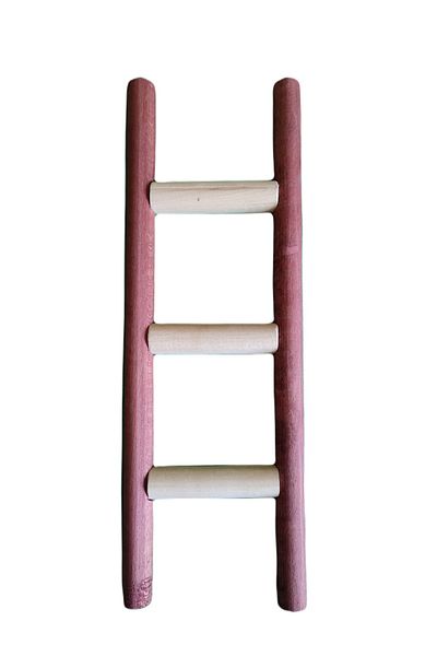 Wooden Bird Jako Parrot Ladder