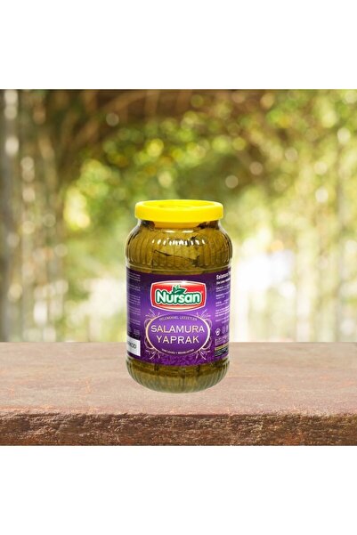 Nursan Gıda Salamura Asma Yaprak 3 Kg