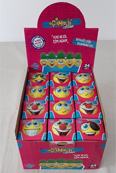 GRASSMAN 25 INDIVIDUALLY BOXED BIRTHDAY CHILDREN'S PLANT GROWING EXPERIMENT SET