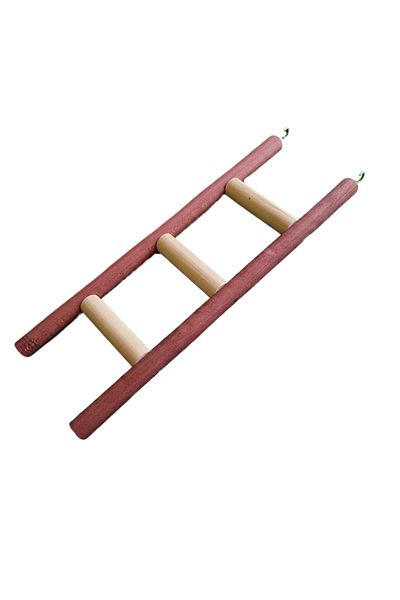 Wooden Bird Jako Parrot Ladder