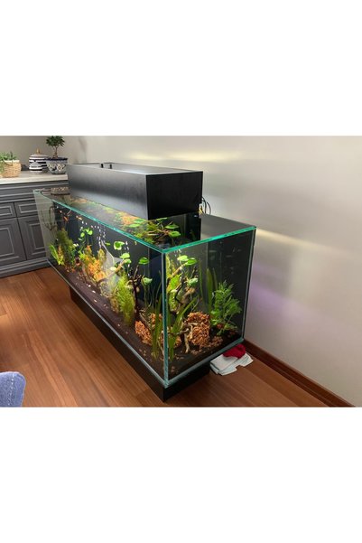 cınar akvaryum Fluval Edge Full Takım