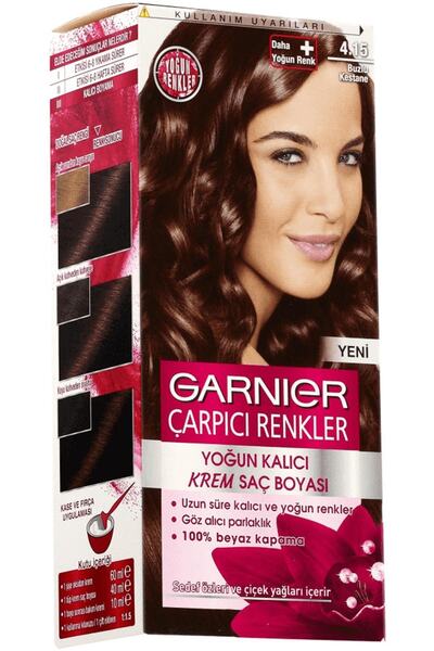 Garnier Çarpıcı Renkler Saç Boyası Buzlu Kestane No. 4,15