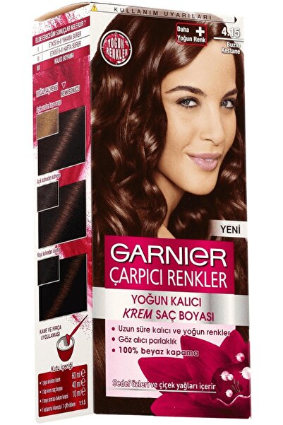 Garnier Çarpıcı Renkler Saç Boyası Buzlu Kestane No. 4,15